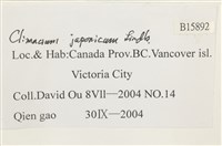 登錄號:B00015892藏品圖，第2張