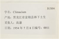 登錄號:B00015894藏品圖，第2張