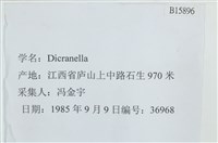 登錄號:B00015896藏品圖，第2張