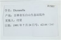 登錄號:B00015897藏品圖，第2張