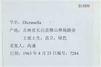 登錄號:B00015899藏品圖，第2張
