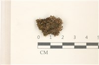 登錄號:B00016109藏品圖，第1張