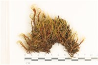 登錄號:B00016131藏品圖，第1張