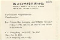 登錄號:B00016157藏品圖，第2張