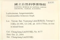 全緣廣萼苔藏品圖，第2張