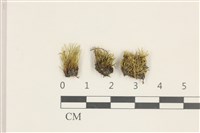 登錄號:B00016184藏品圖，第1張