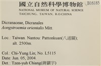 東亞昂氏蘚,東方昂氏蘚藏品圖，第2張