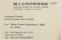 登錄號:B00016187藏品圖，第2張