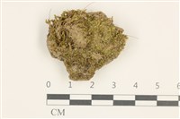 登錄號:B00016189藏品圖，第1張