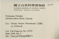 印度扭口蘚藏品圖，第2張