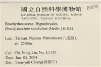 卵葉青蘚藏品圖，第2張