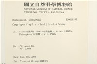 脆枝曲柄蘚藏品圖，第2張