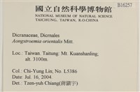 東亞昂氏蘚,東方昂氏蘚藏品圖，第2張