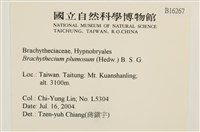 羽枝青蘚藏品圖，第2張