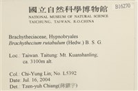 卵葉青蘚藏品圖，第2張