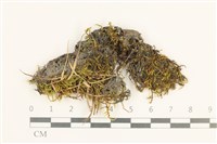 登錄號:B00016278藏品圖，第1張