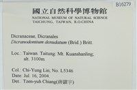 青毛苔藏品圖，第2張