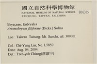 登錄號:B00016335藏品圖，第2張