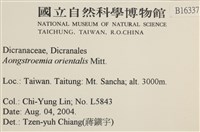 東亞昂氏蘚,東方昂氏蘚藏品圖，第2張