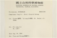 脆枝曲柄蘚藏品圖，第2張