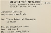 東亞昂氏蘚,東方昂氏蘚藏品圖，第2張