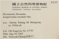 東亞昂氏蘚,東方昂氏蘚藏品圖，第2張