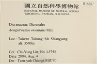 東亞昂氏蘚,東方昂氏蘚藏品圖，第2張