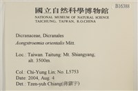 東亞昂氏蘚,東方昂氏蘚藏品圖，第2張