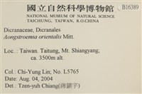 東亞昂氏蘚,東方昂氏蘚藏品圖，第2張