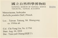 多疣懸蘚藏品圖，第2張