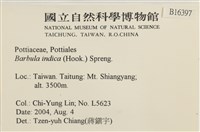 印度扭口蘚藏品圖，第2張