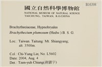 羽枝青蘚藏品圖，第2張