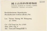 威氏青蘚藏品圖，第2張