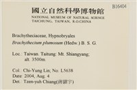 羽枝青蘚藏品圖，第2張