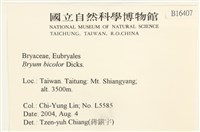 兩色真蘚藏品圖，第2張