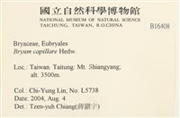 細葉真蘚藏品圖，第2張
