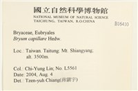 細葉真蘚藏品圖，第2張