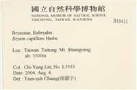 細葉真蘚藏品圖，第2張