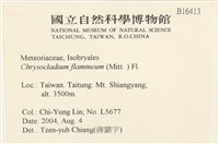 登錄號:B00016413藏品圖，第2張