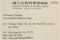 索氏叢本蘚藏品圖，第2張