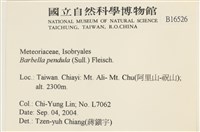 多疣懸蘚藏品圖，第2張