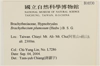 羽枝青蘚藏品圖，第2張