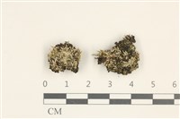 登錄號:B00016588藏品圖，第1張