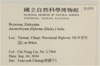 登錄號:B00016589藏品圖，第2張