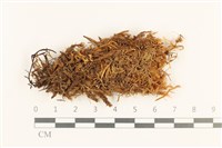 登錄號:B00016686藏品圖，第1張