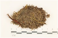 登錄號:B00016692藏品圖，第1張
