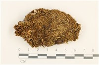 登錄號:B00016695藏品圖，第1張