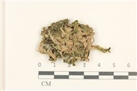 登錄號:B00016699藏品圖，第1張