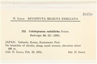 登錄號:B00016704藏品圖，第2張