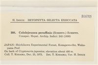 登錄號:B00016705藏品圖，第2張